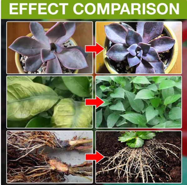 PLANT GROWTH ENHANCER SUPPLEMENT (BUY 1 GET 2 FREE)