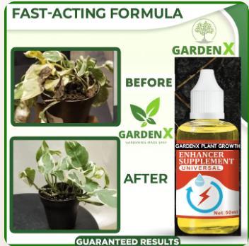 PLANT GROWTH ENHANCER SUPPLEMENT (BUY 1 GET 2 FREE)