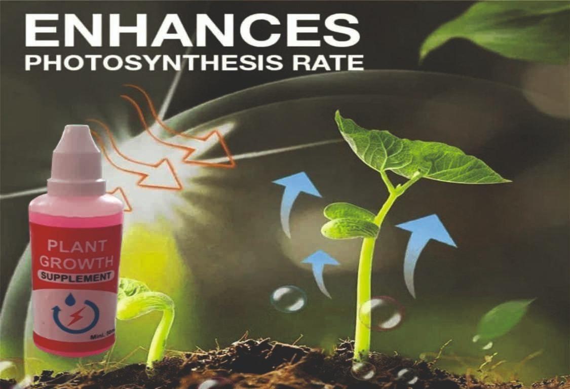 🤩Plant Growth Enhancer Supplement [BUY 1 GET 1 FREE]🤩