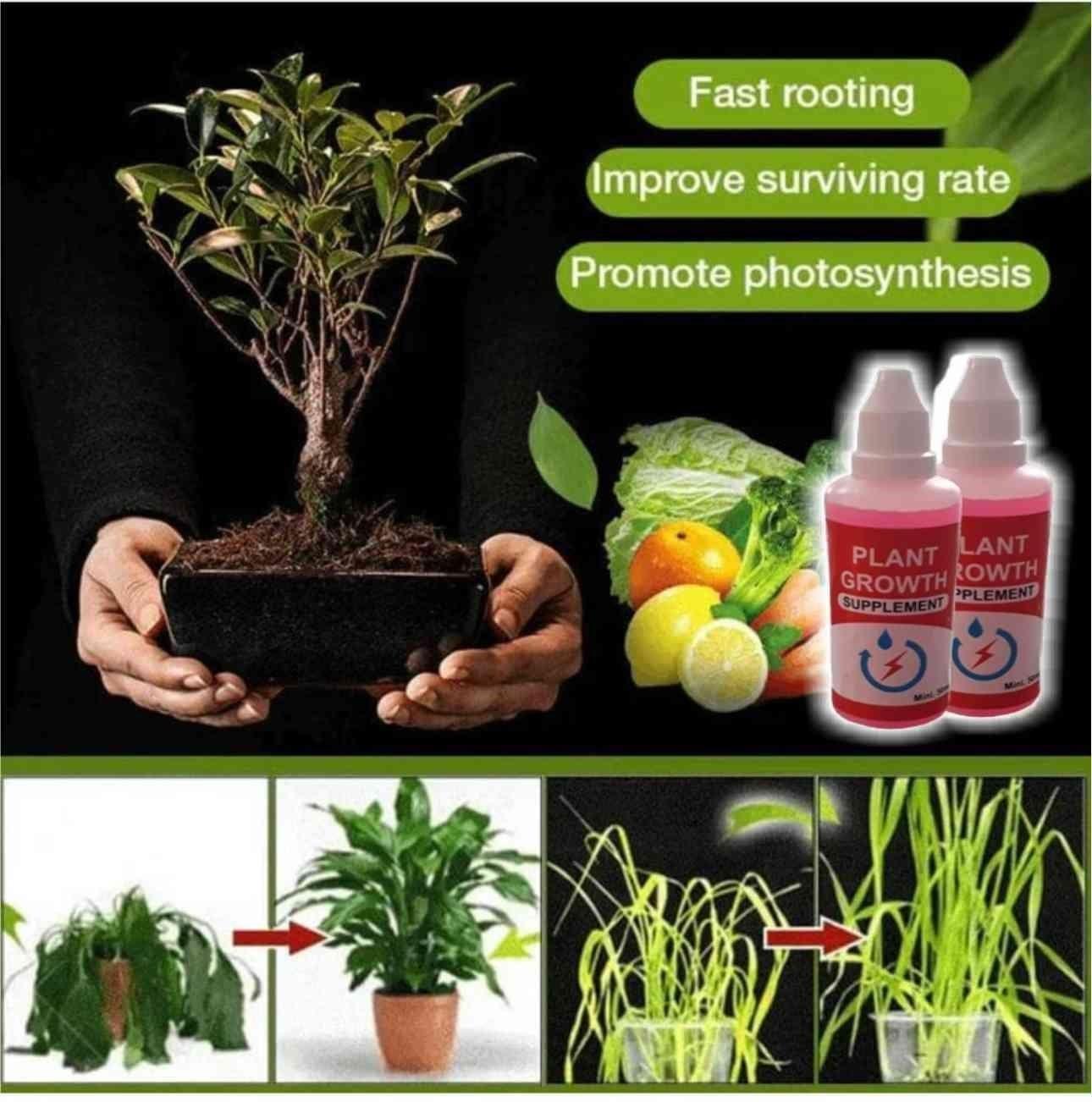 🤩Plant Growth Enhancer Supplement [BUY 1 GET 1 FREE]🤩