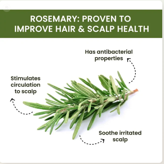 🤩Rosemary Water, Hair Spray For Regrowth[🔥BUY 1 FREE 1🔥]🤩